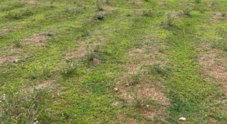 Over 100 plots of land for sale at Agingi Rukuba road Jos Plateau State