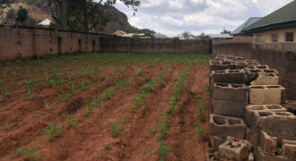 One and half plots of land for sale in new rayfield road Jos south