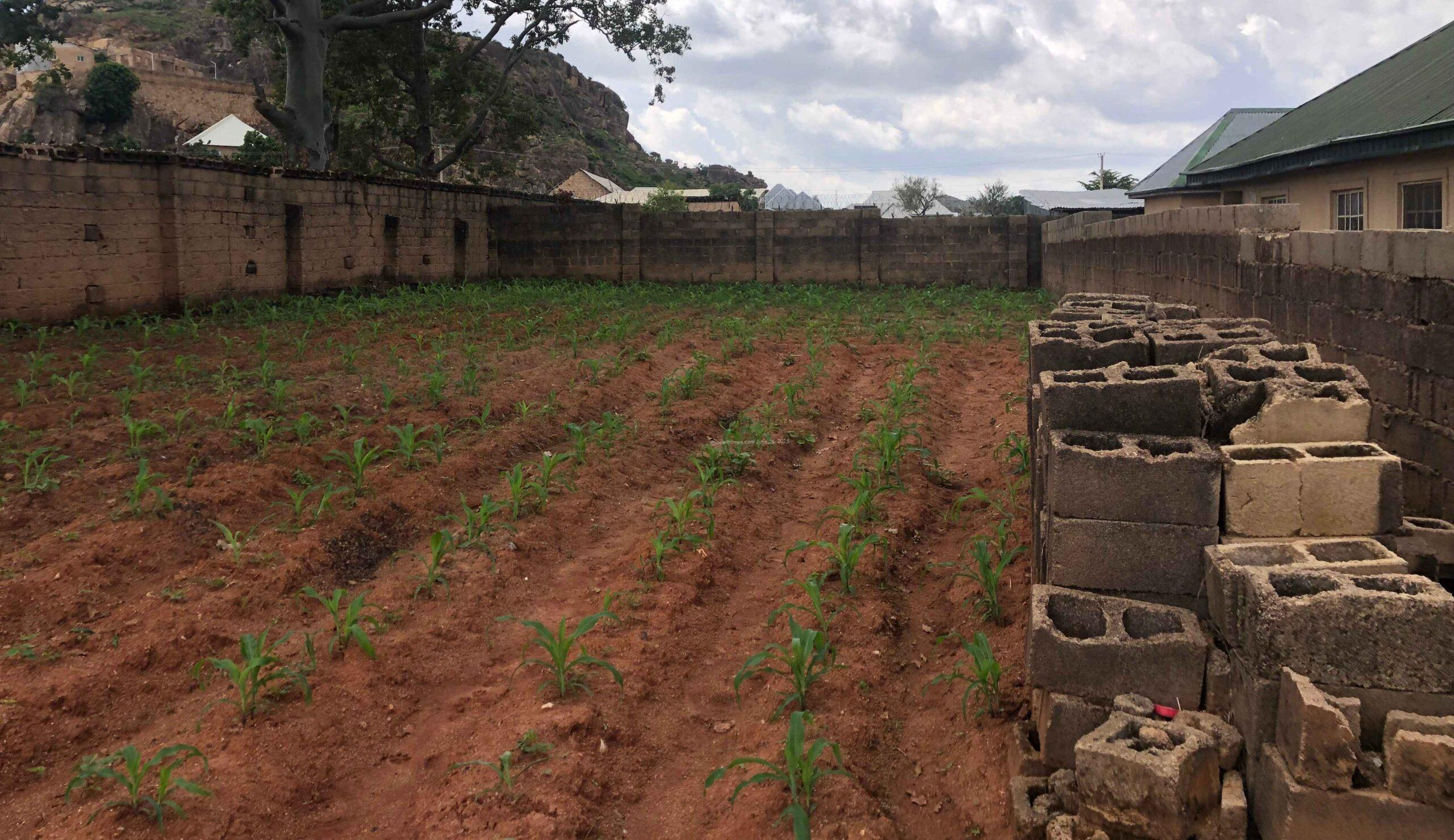 One and half plots of land for sale in new rayfield road Jos south