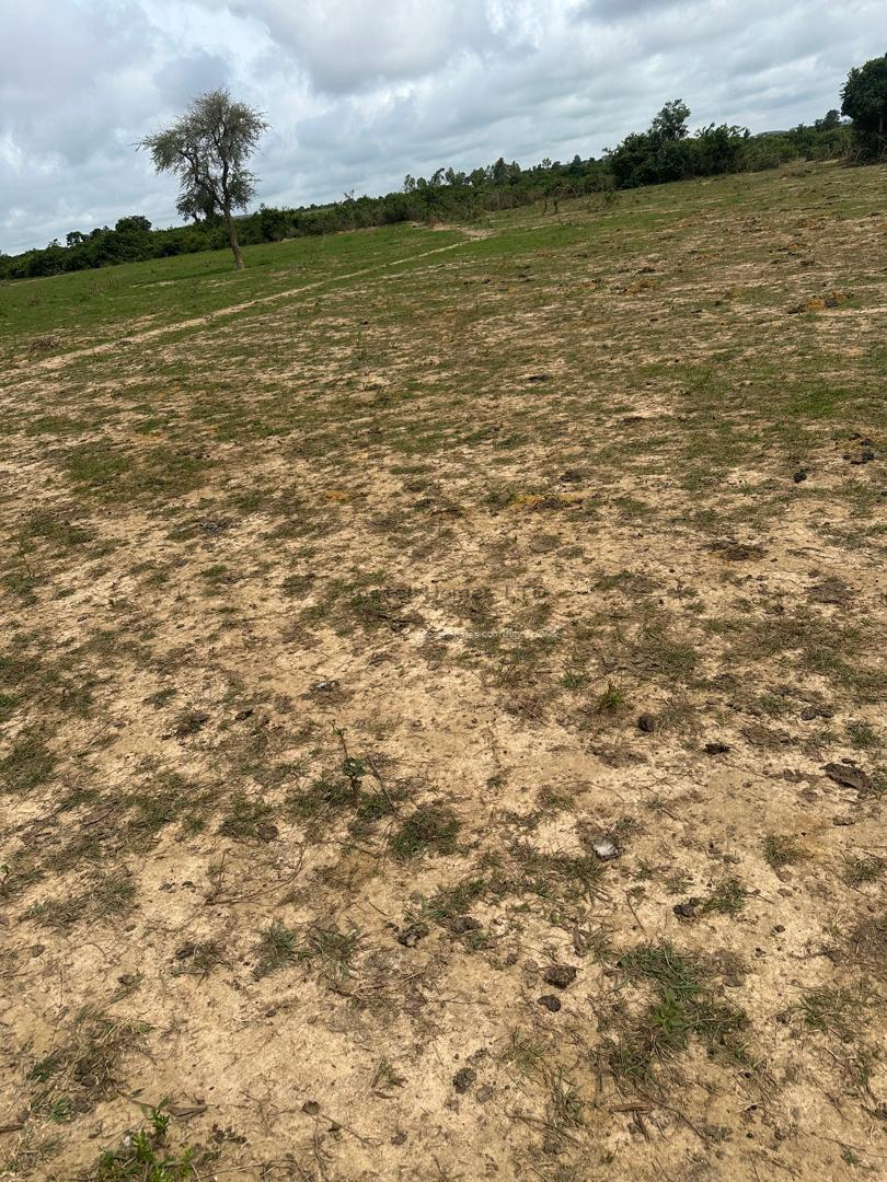30 plots of farmable land for sale at Agingi plateau state