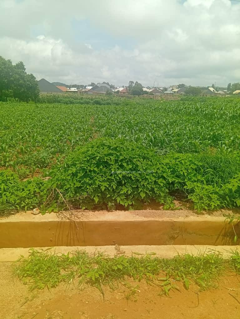 30 plot of land Rayfield behind old government house Rayfield