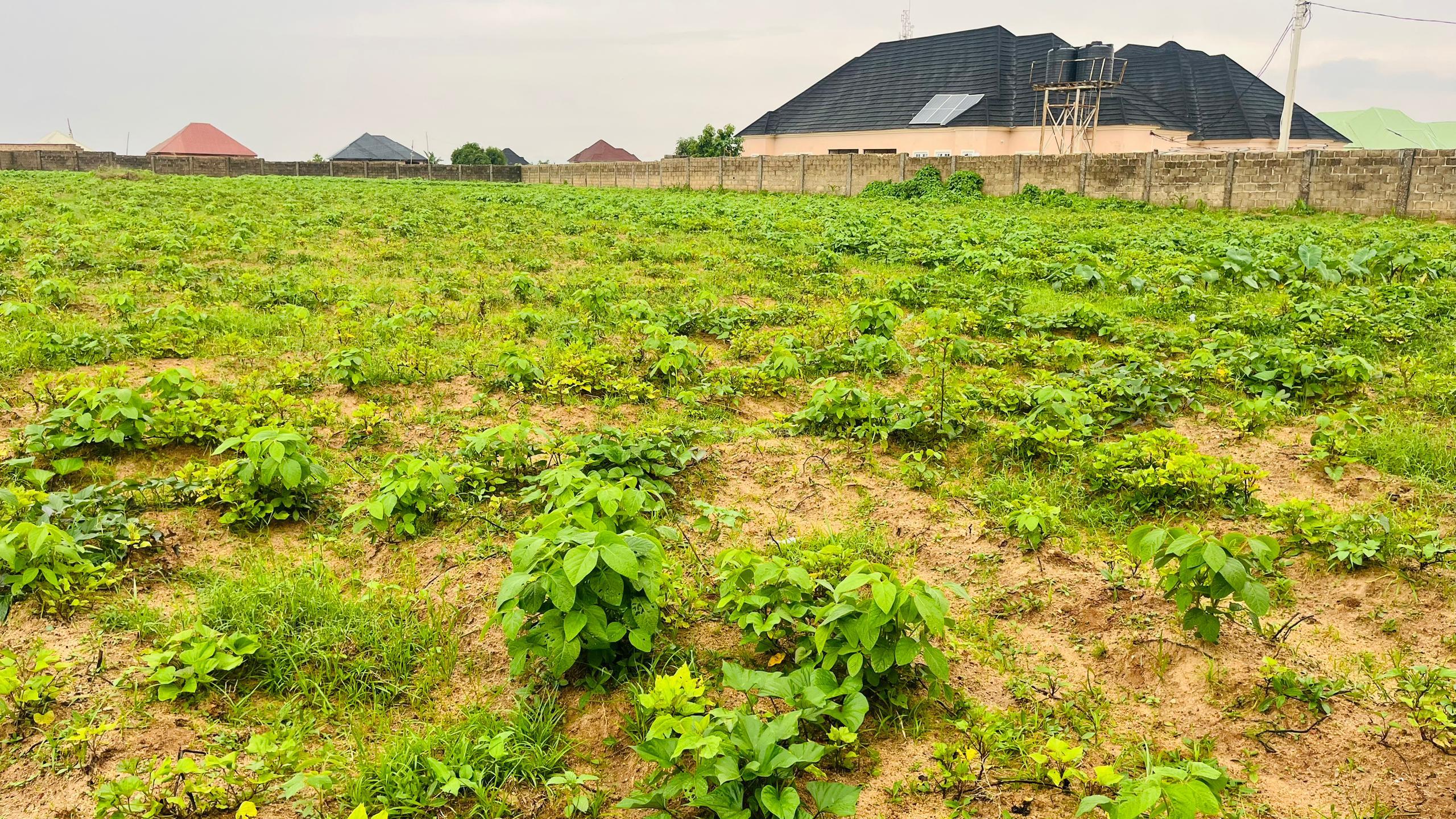 🏡 3.5 Plots of Prime Land for Sale in Atiku Street, Jos, Plateau State – ₦52.5M (Negotiable) – Ideal for Residential/Commercial Development